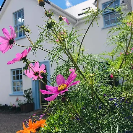 Tigin An Bear Boutique מלון דינגל