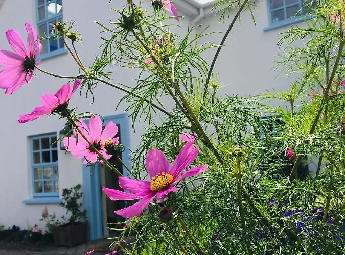 Tigin An Bear Boutique Hotel Dingle